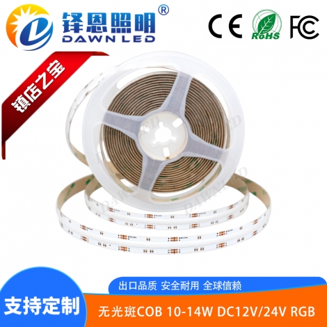 COB�ƴ�DC12V/24V 10W RGB