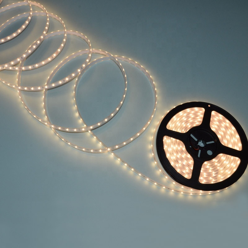 2835软灯带 2835软灯带