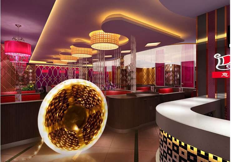 LED软灯条 LED软灯条