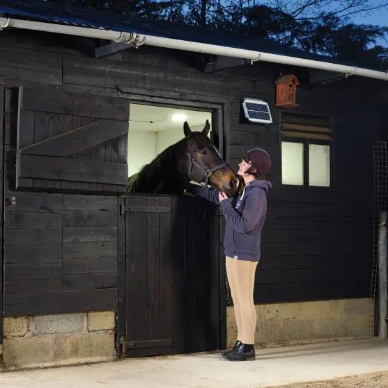 硬灯条.jpg 硬灯条.jpg